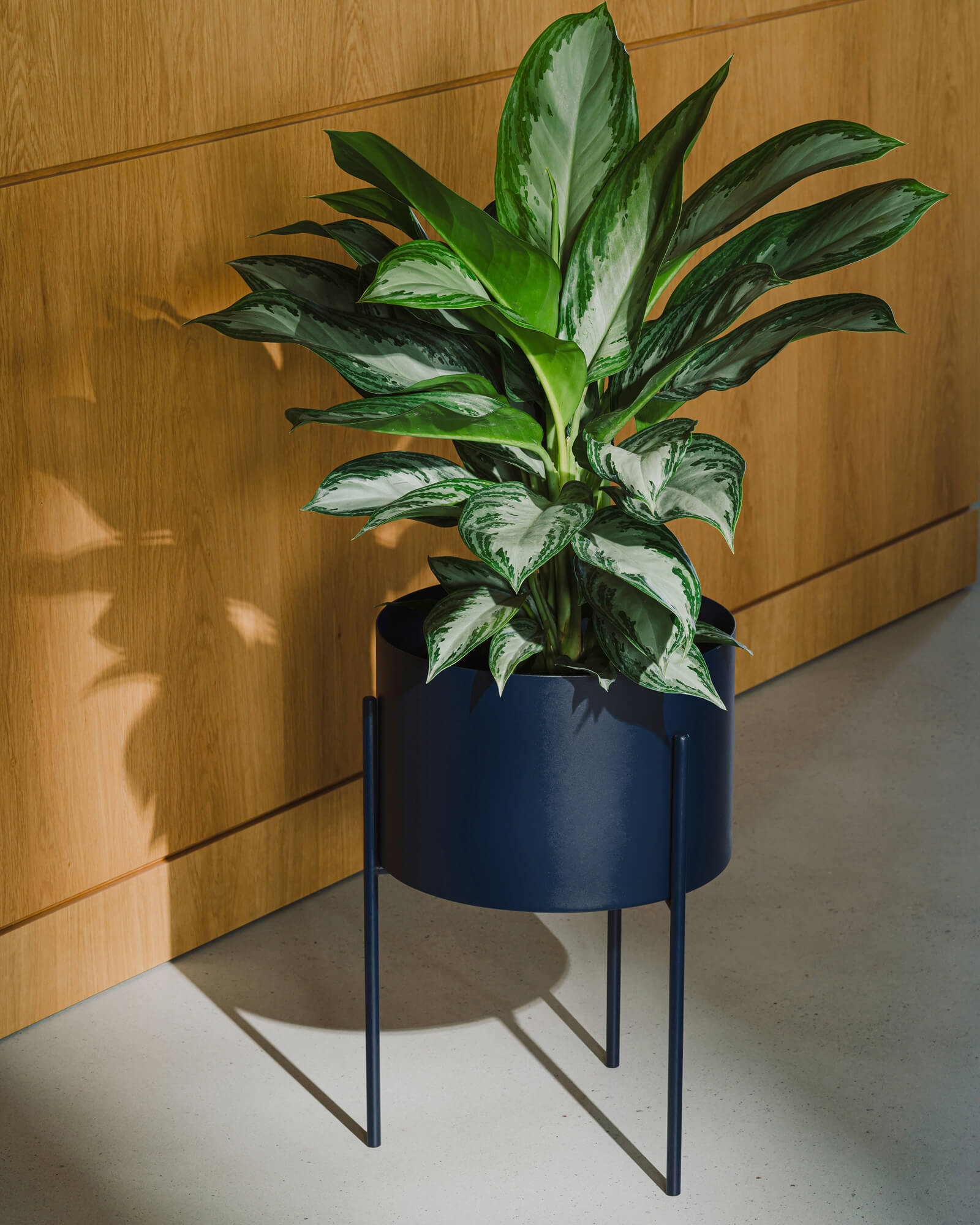 Maki Plant Pot - wide