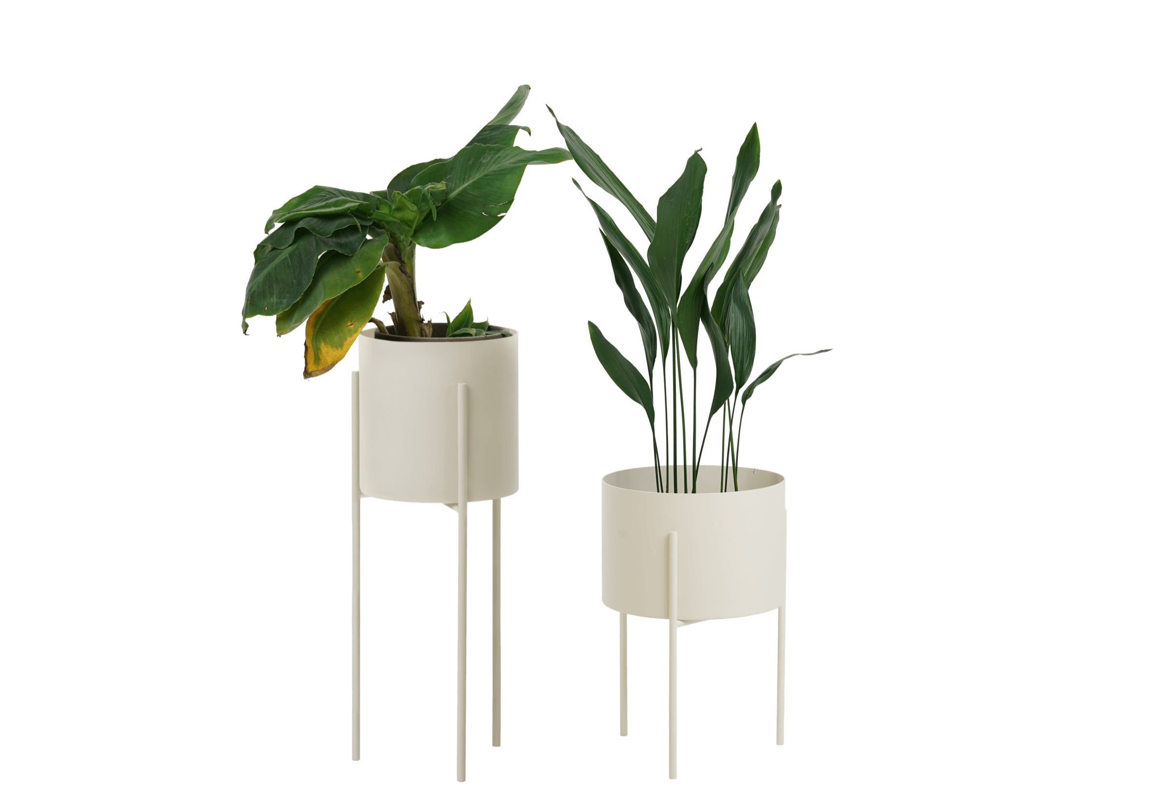 Maki Breites & Hohes Set