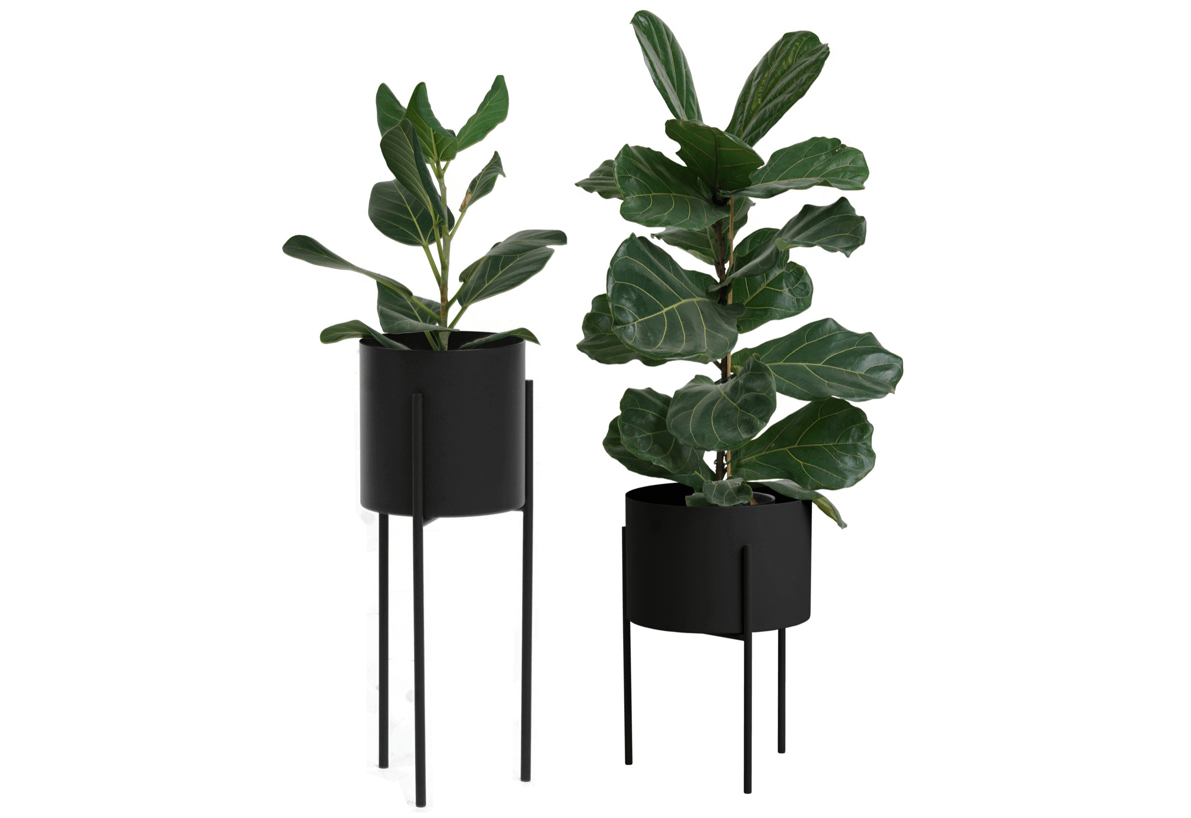 Maki Breites & Hohes Set