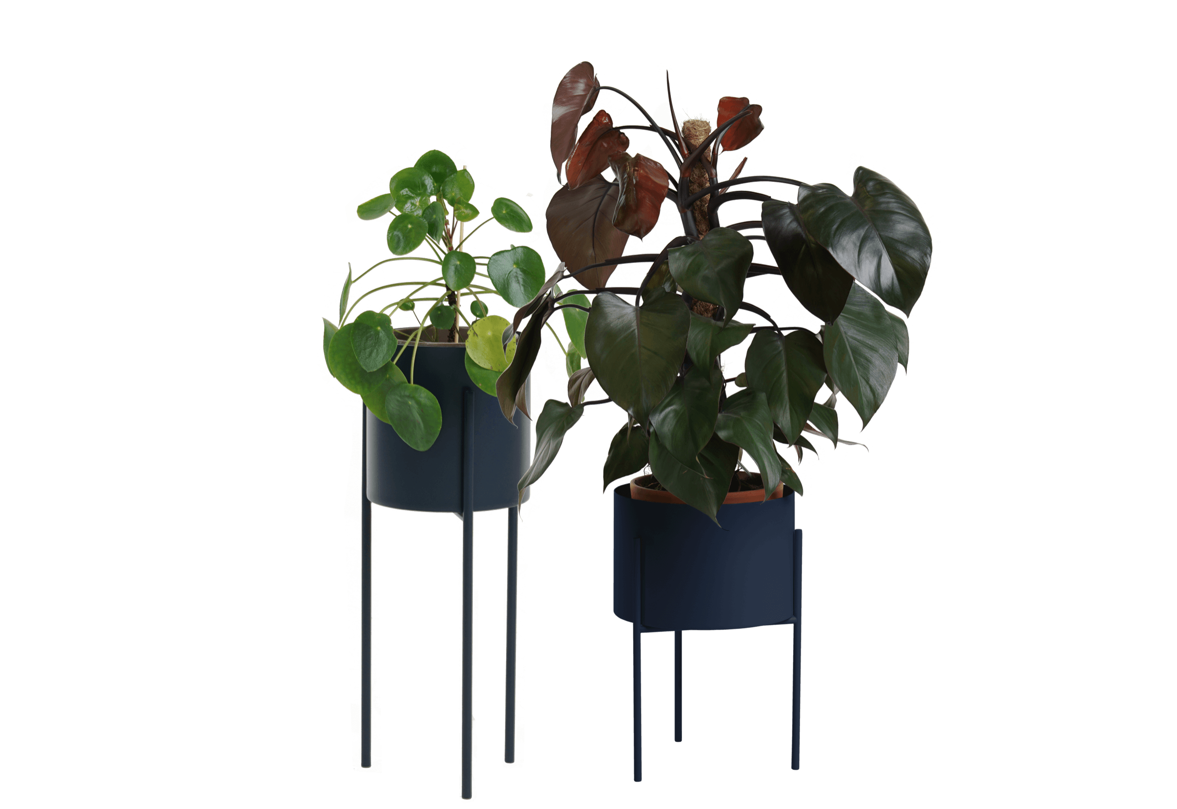 Maki Breites & Hohes Set