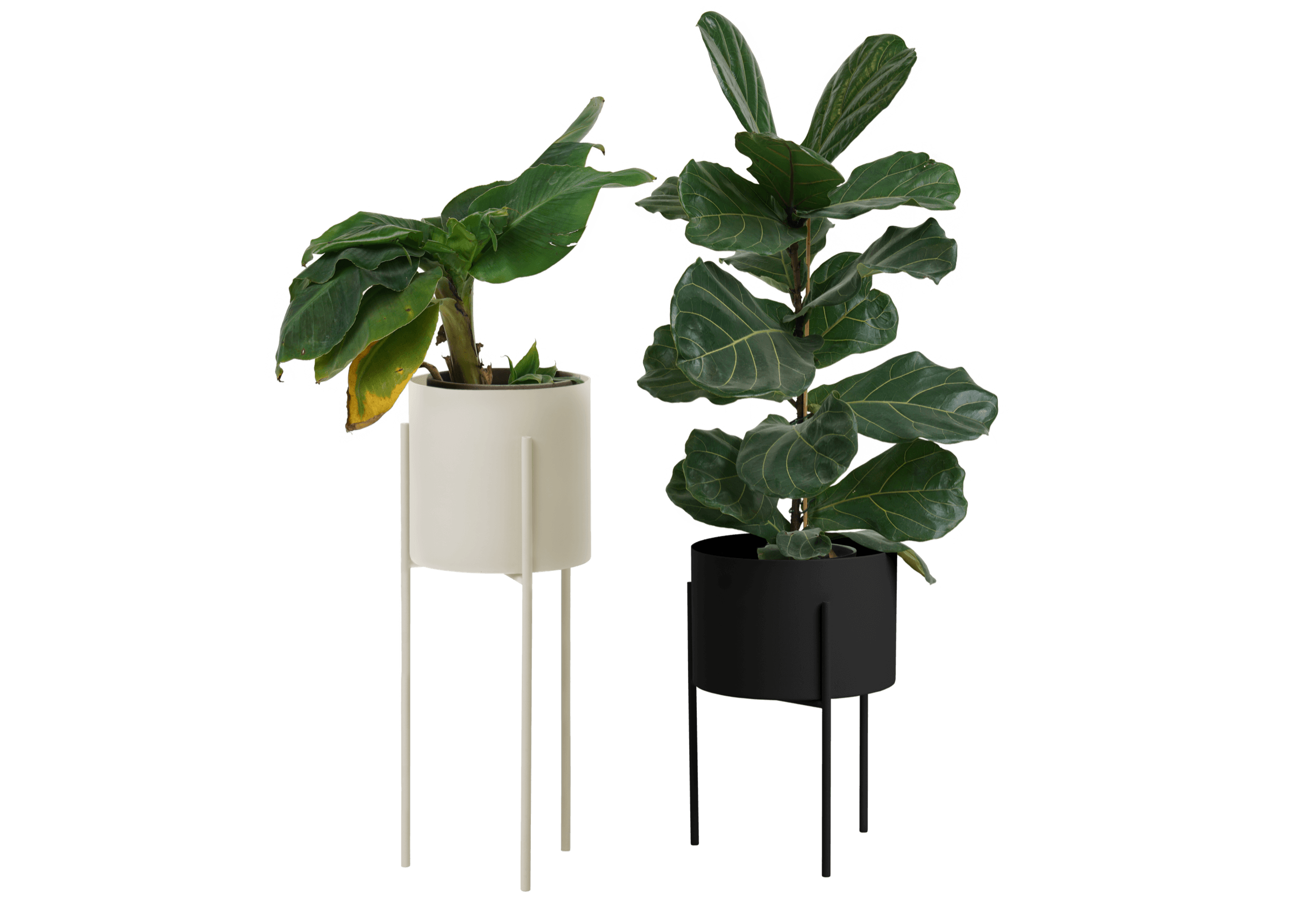 Maki Breites & Hohes Set