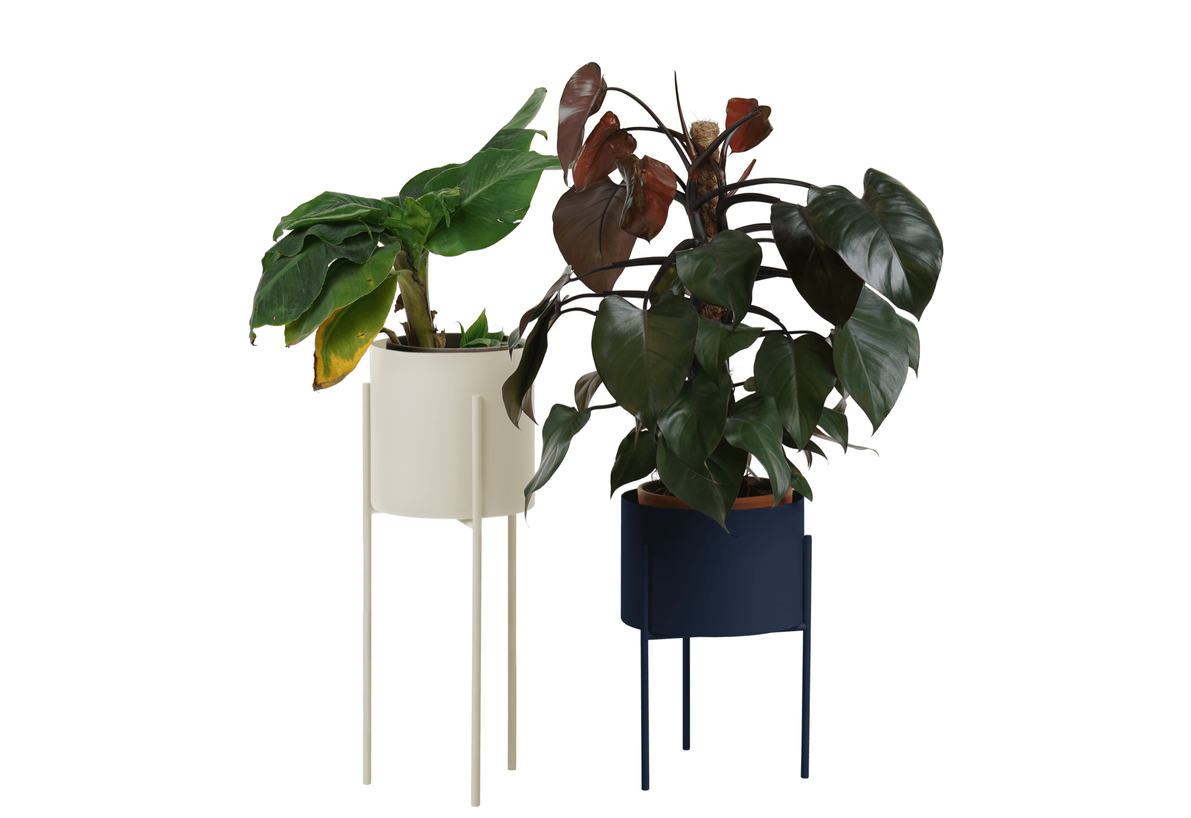 Maki Breites & Hohes Set