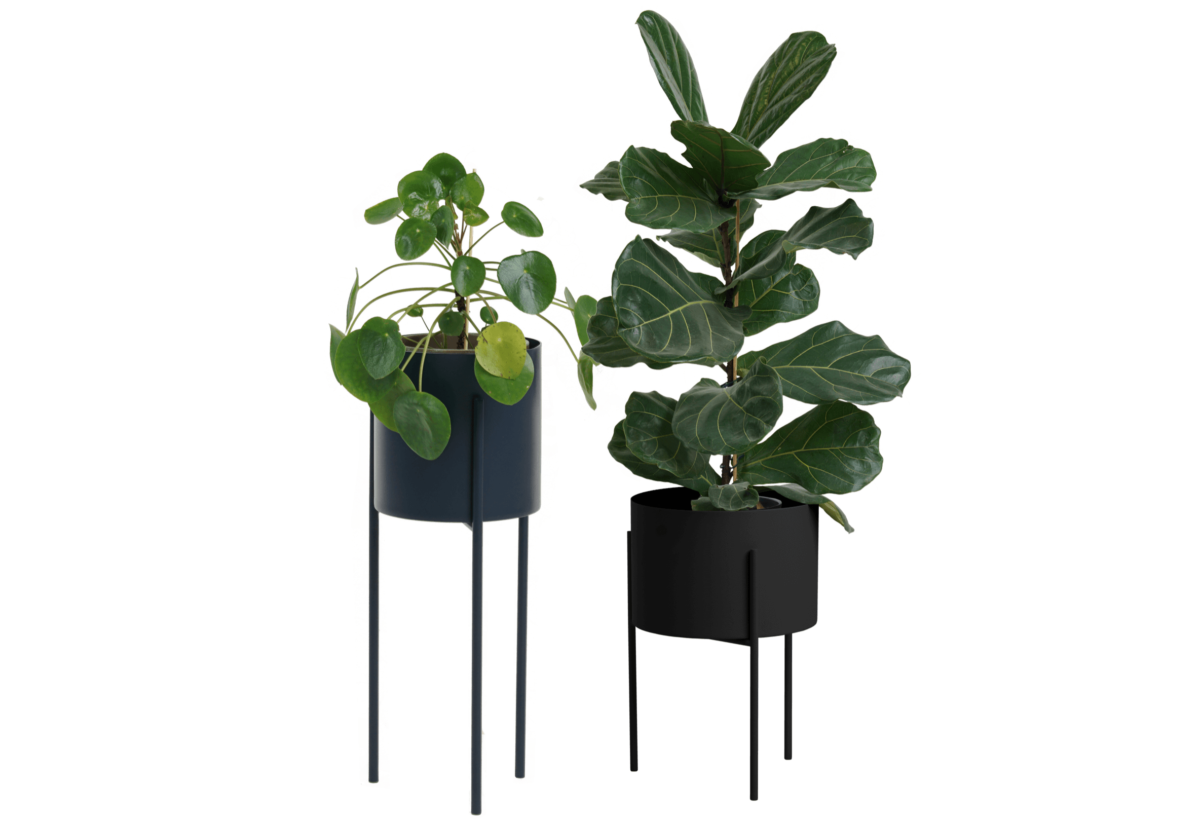 Maki Breites & Hohes Set