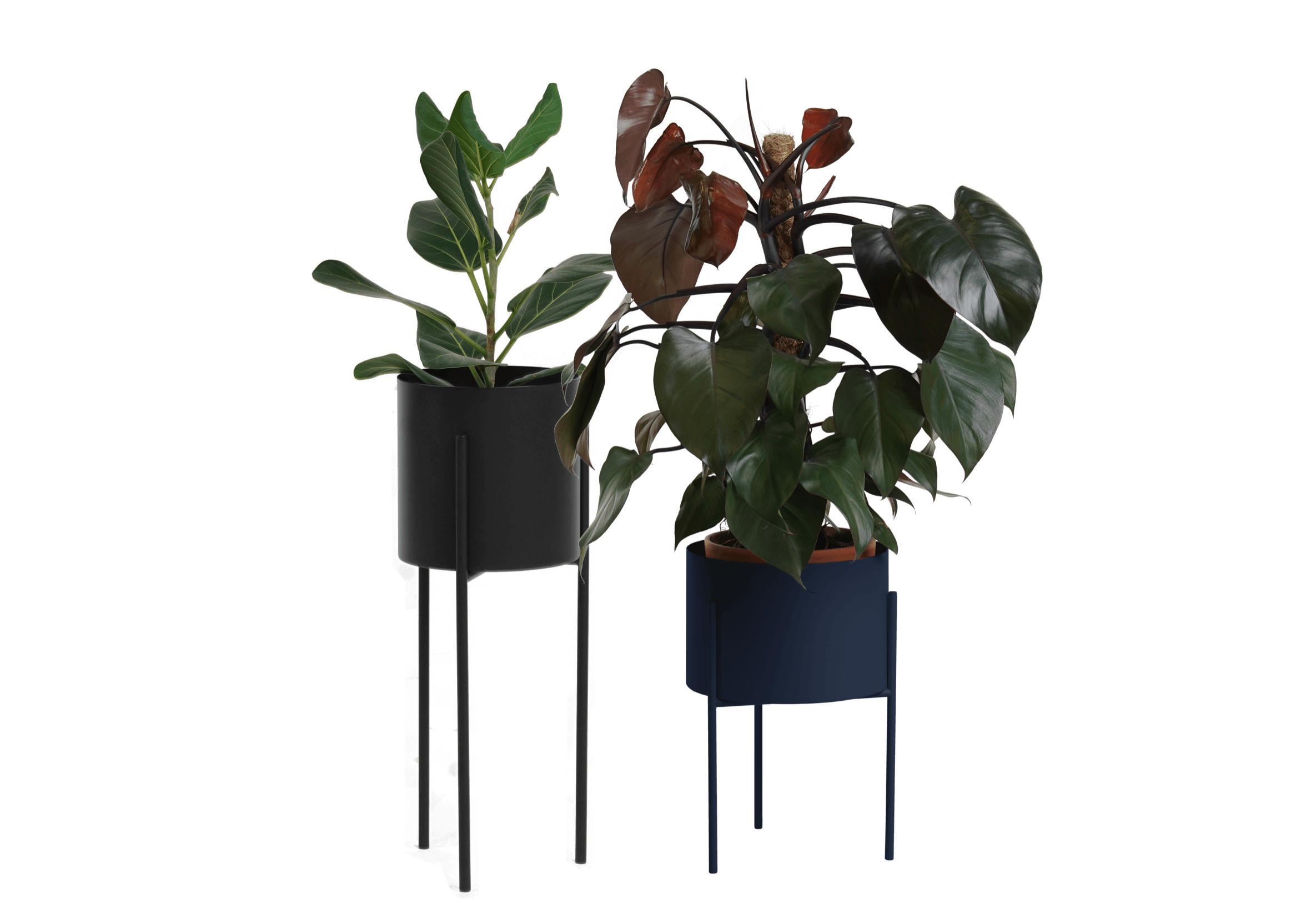 2x kwietnik Maki - szeroki i wysoki