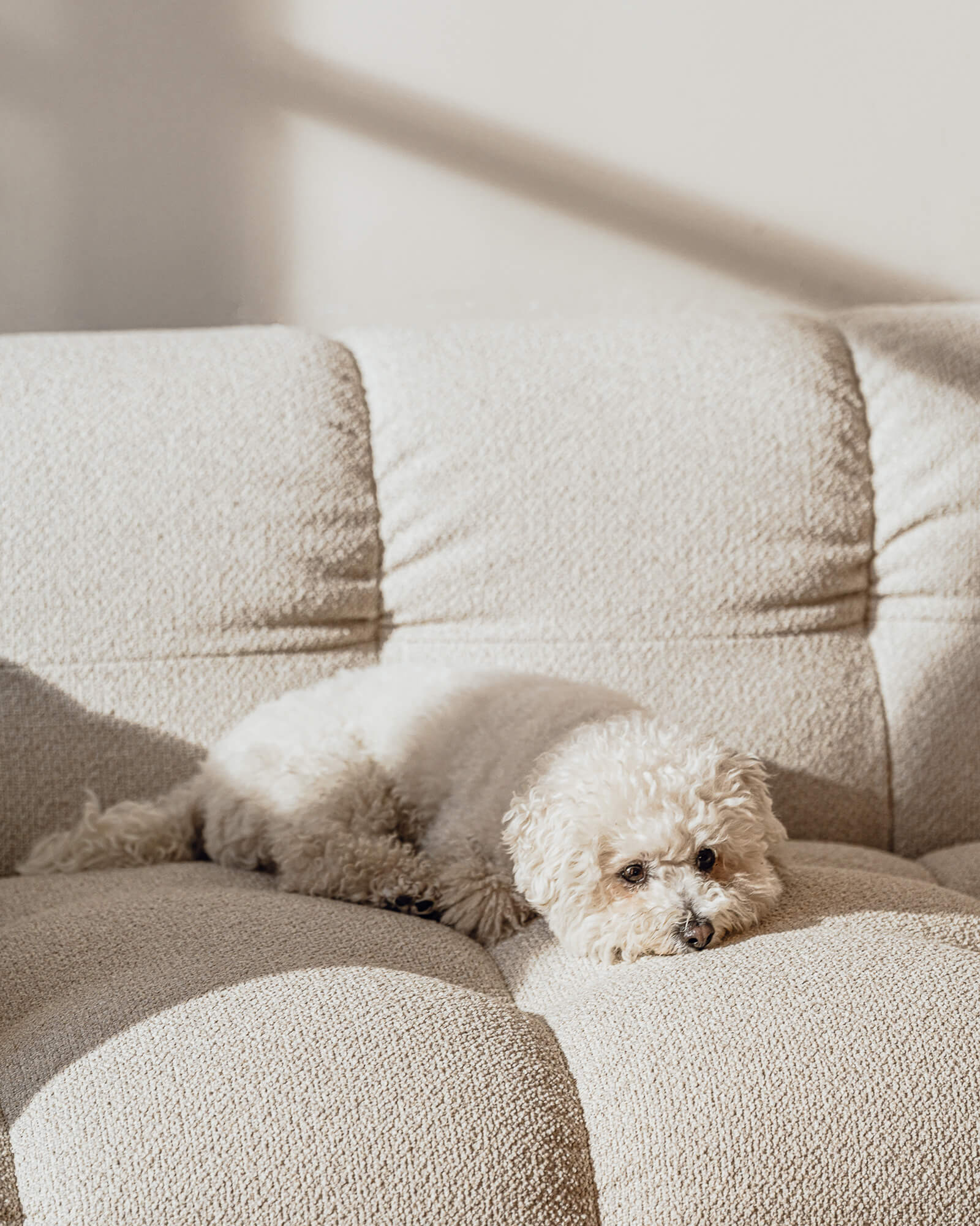 Bolbi Sofa 2-Sitzer