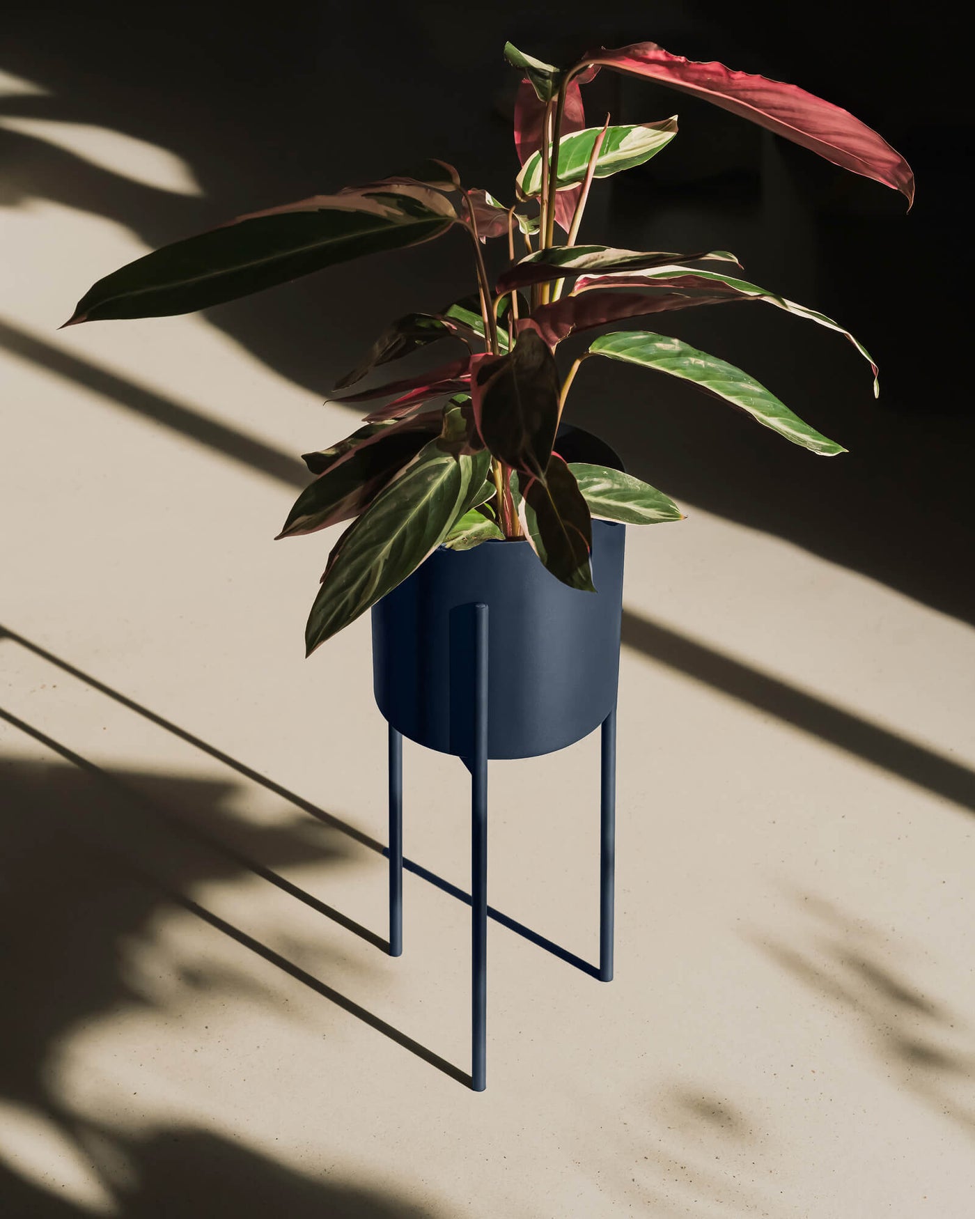 Maki Blumentopf - hoch