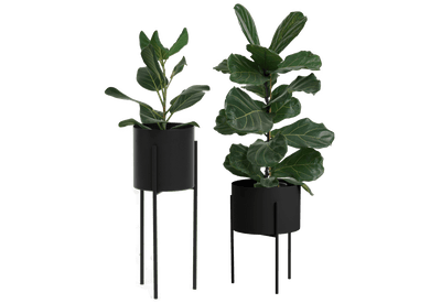 Maki Breites & Hohes Set