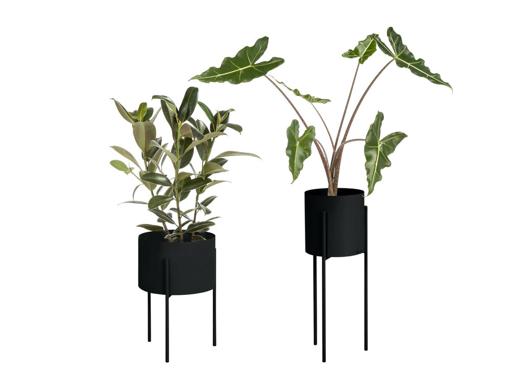 PLANT POT 201_ 140mm / 6in – KINTO USA, Inc
