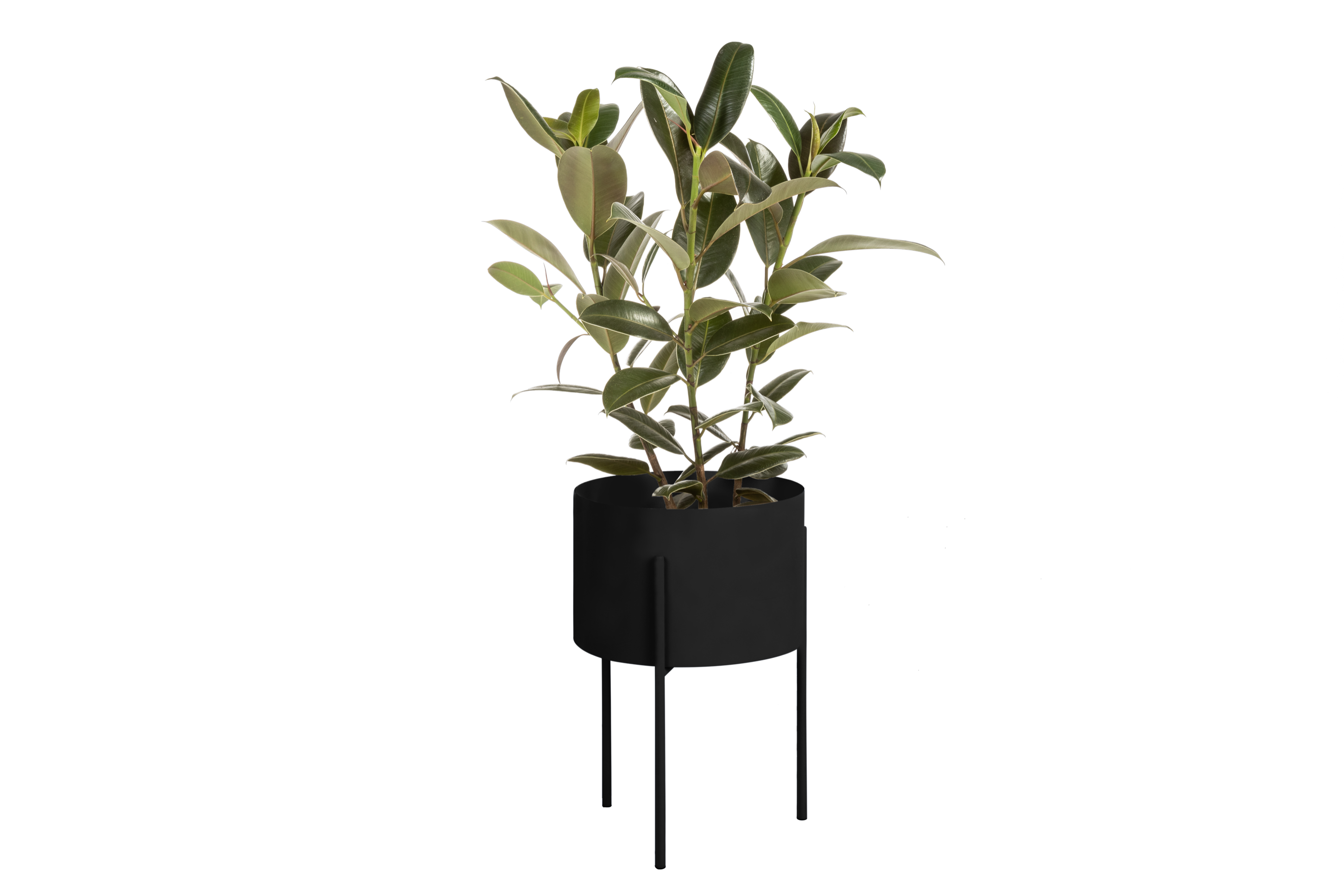 Maki Plant Pot - wide