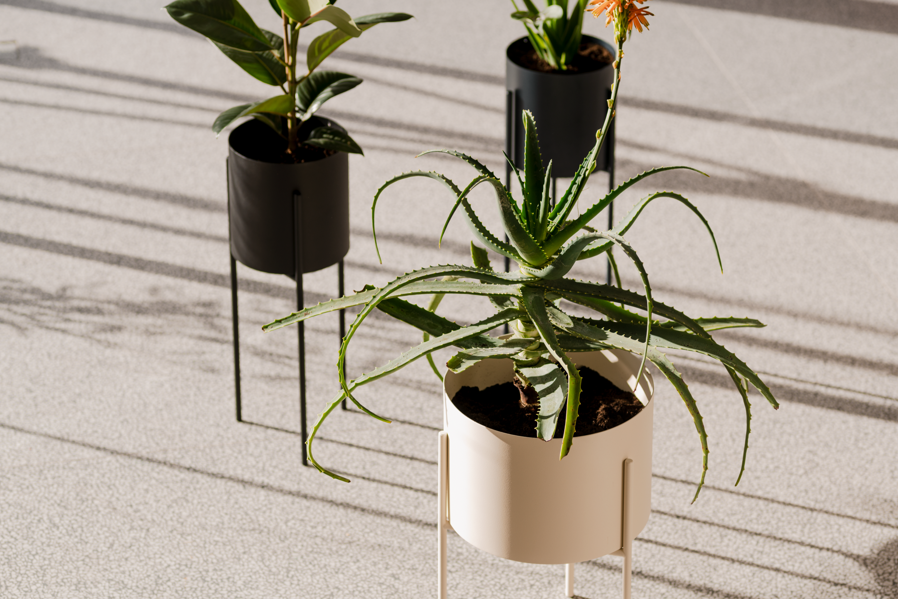 Maki Plant Pot - wide